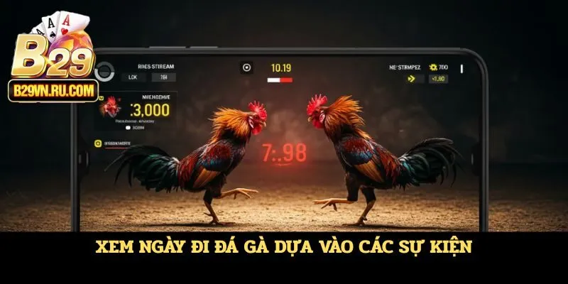 Xem ngày đi đá gà dựa vào các sự kiện